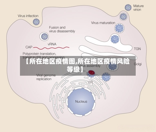 【所在地区疫情图,所在地区疫情风险等级】-第1张图片