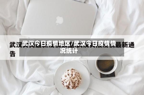 武汉今日疫情地区/武汉今日疫情情况统计-第2张图片