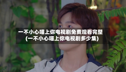 一不小心喵上你电视剧免费观看完整(一不小心喵上你电视剧多少集)-第1张图片