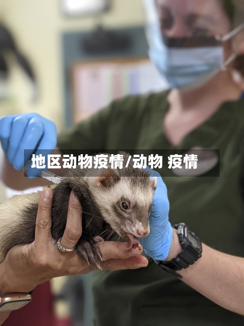 地区动物疫情/动物 疫情-第2张图片