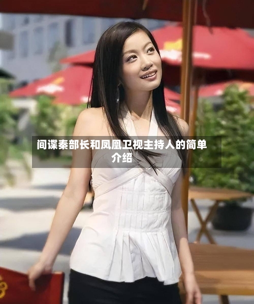 间谍秦部长和凤凰卫视主持人的简单介绍-第3张图片