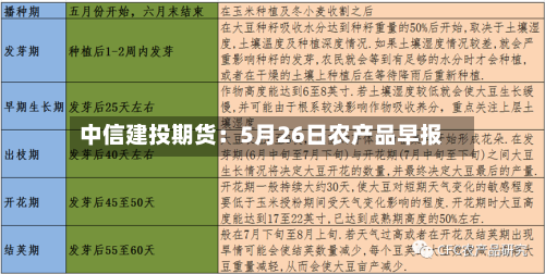 中信建投期货：5月26日农产品早报-第1张图片