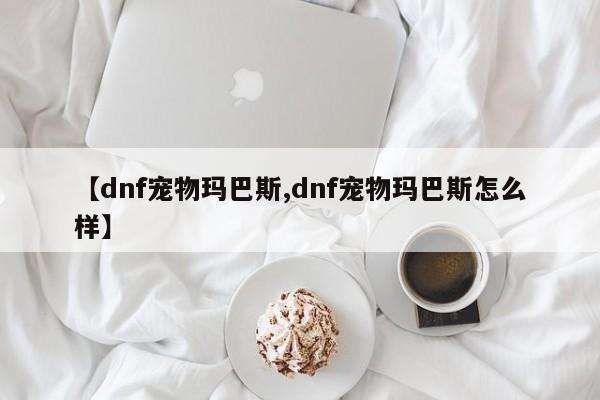 【dnf宠物玛巴斯,dnf宠物玛巴斯怎么样】