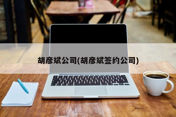 胡彦斌公司(胡彦斌签约公司)