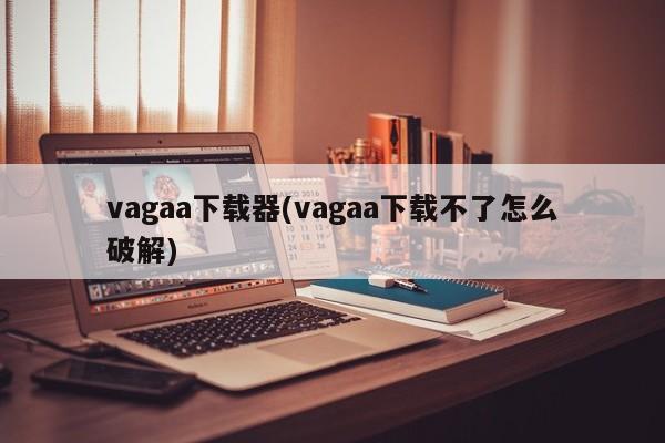 vagaa下载器(vagaa下载不了怎么破解)