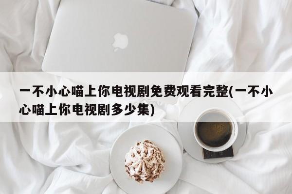 一不小心喵上你电视剧免费观看完整(一不小心喵上你电视剧多少集)